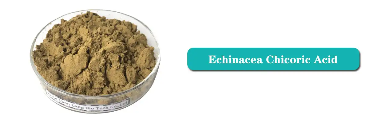 Echinacea Chicoric Acid Saler.jpg